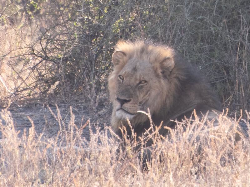 Southern Africa