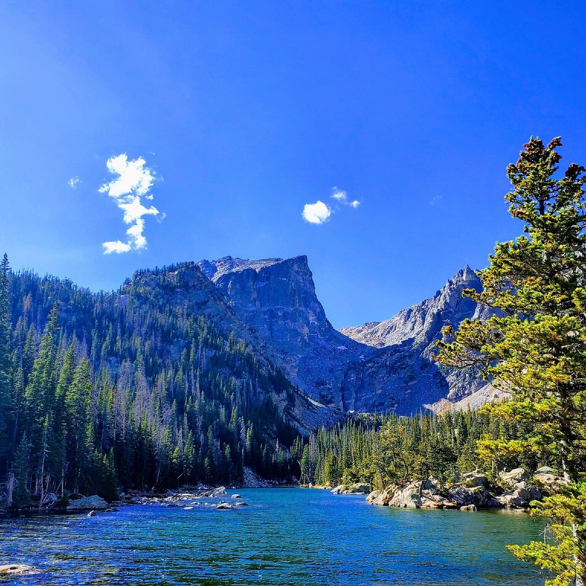 Majestic Rockies with Rocky Mountaineer — photo 2
