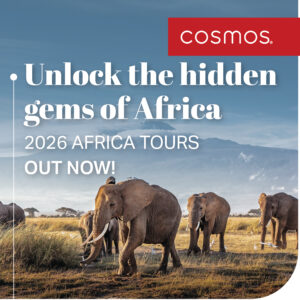 Cosmos 2026 Africa Social Tile_2025-08-05_23-15-13
