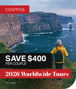 Cosmos Promotion Social Tile_2025-10-06_21-42-23